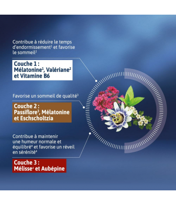 Alvityl Mela-Sommeil LIB Comprimés