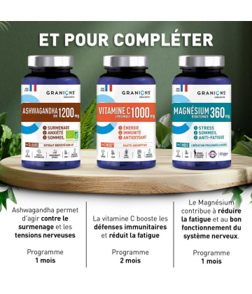 Granions Ashwagandha Bio 1200 mg Comprimés x 60