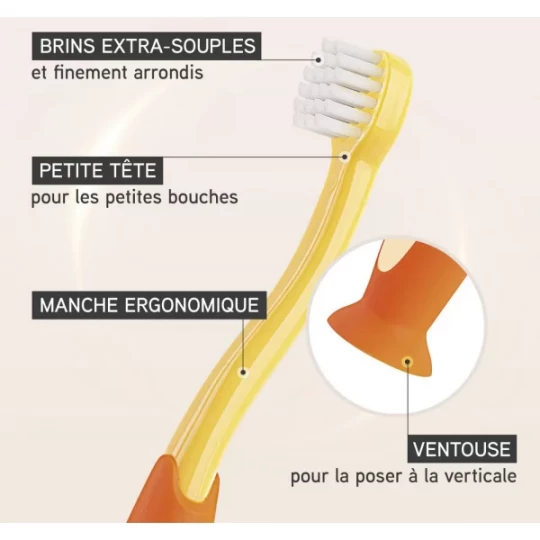 Elgydium Brosse à Dent Baby 0/2 ans - image 2