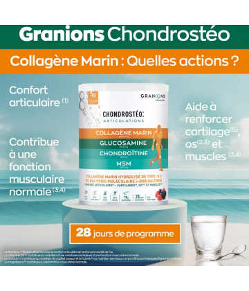 EA Chondrosteo + Collagène Fruits des Bois Poudre 280 g