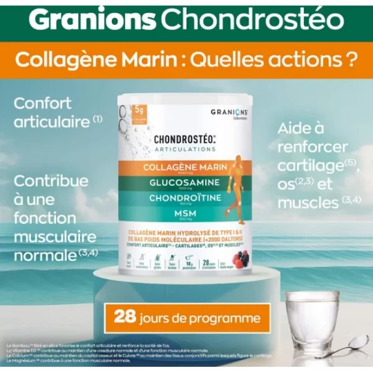 EA Chondrosteo + Collagène Fruits des Bois Poudre 280 g - image 2