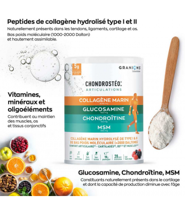 EA Chondrosteo + Collagène Fruits des Bois Poudre 280 g