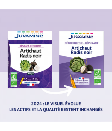 Juvamine Dépuratif Détoxifiant Radis Noir Artichaut Ampoules x 10