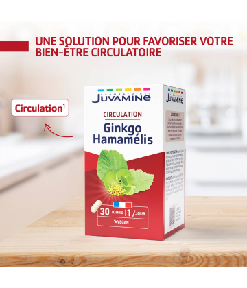 Juvamine Ginkgo Hamamélis Gélules Végétales x 30