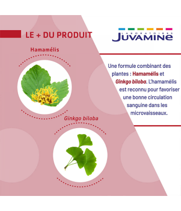 Juvamine Ginkgo Hamamélis Gélules Végétales x 30