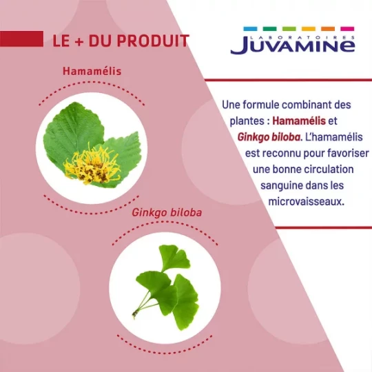 Juvamine Ginkgo Hamamélis Gélules Végétales x 30 - image 3