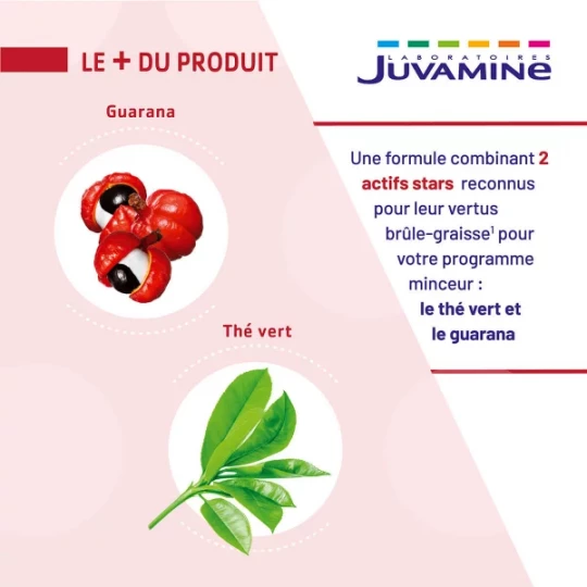 Juvamine Minceur Thé Vert Guarana Gélules x 30 - image 3