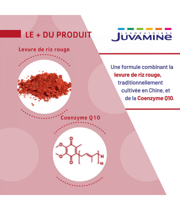 Juvamine Équilibre Levure de Riz Rouge Coenzyme Q10 Comprimés x 30