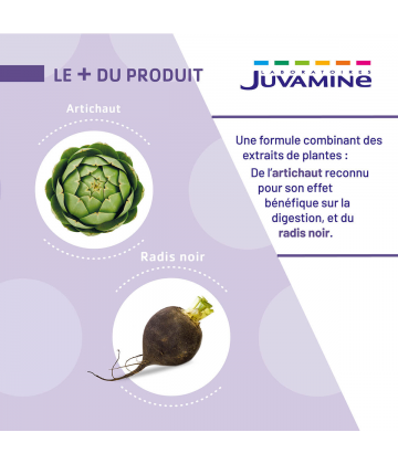 Juvamine Foie Artichaud Radis Noir Gélules x 120