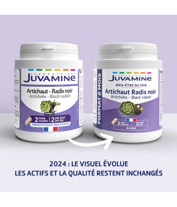 Juvamine Foie Artichaud Radis Noir Gélules x 120