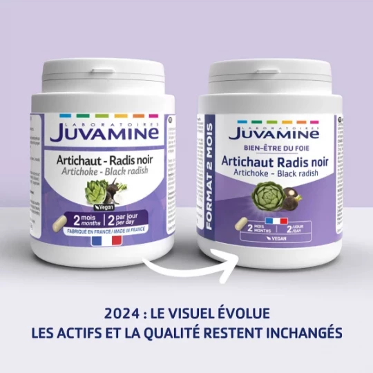Juvamine Foie Artichaud Radis Noir Gélules x 120 - image 4