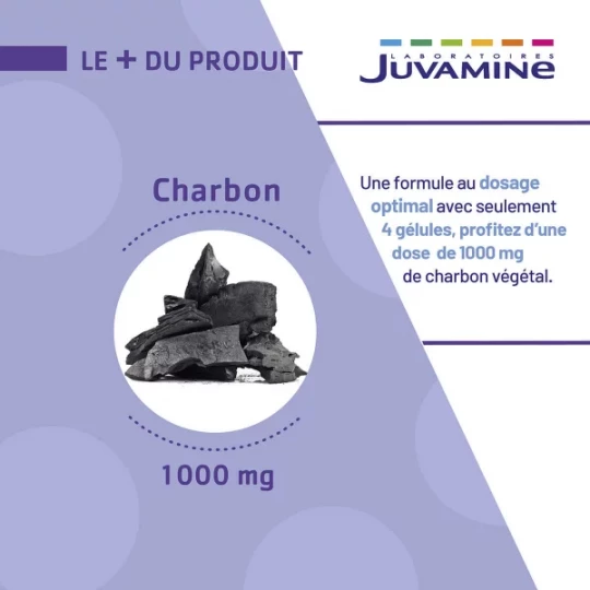 Juvamine Charbon 1000mg x 120 - image 3