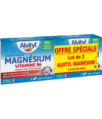 Alvityl Magnésium Vitamine B6 Comprimés Lot de 2 x 45