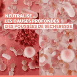 Avène Xeracalm AD Baume Relipidant