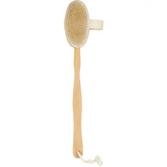 Cartel Paris Brosse de Bain Démontable Bois et Soie