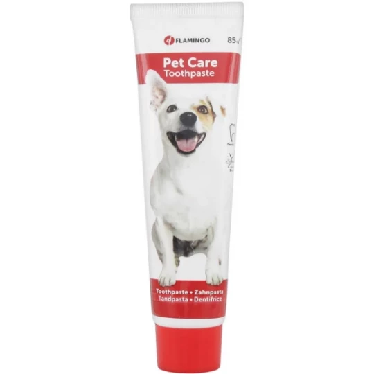Flamingo Pet Care Dentifrice Menthe pour Animaux 85 g