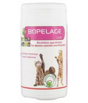 Leaf Care Bopelage Chat Boulettes Appétentes 40 g