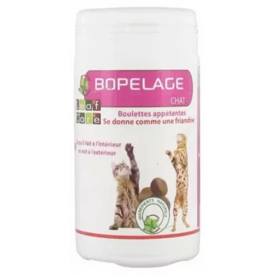 Leaf Care Bopelage Chat Boulettes Appétentes 40 g