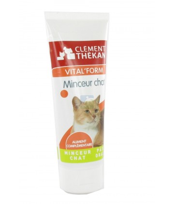 Clément Thékan Minceur Chat 100 g