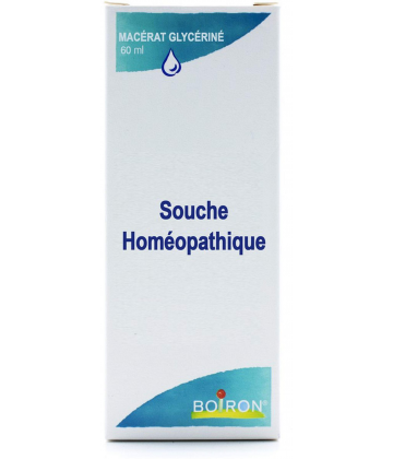 Boiron Tilia Tomentosa Bourgeons Macérat Glycériné 1DH 60 ml