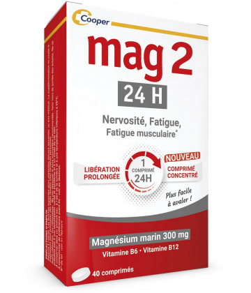 Mag 2 24H Comprimés