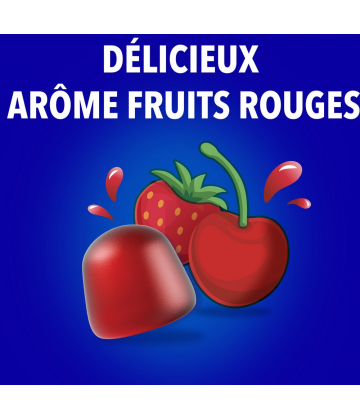 Bion3 Défense & Equilibre Intestinal Gommes x 60