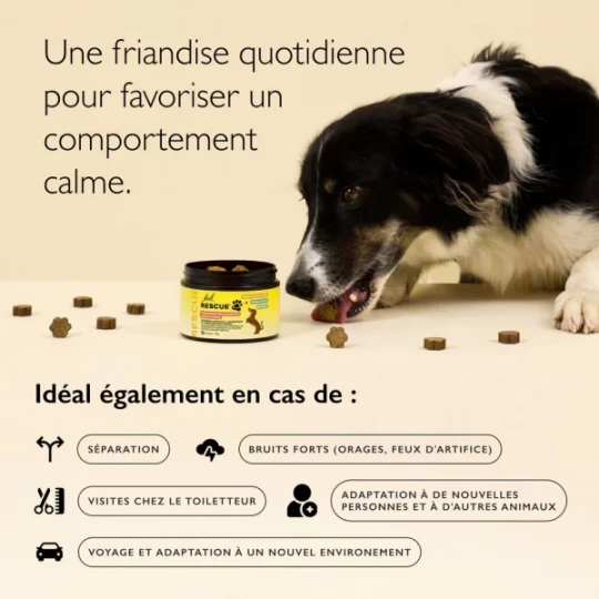 Rescue Bach Pets Friandises Relaxantes pour Chiens x 60 - image 2