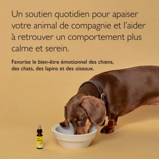 Rescue Bach Pets Compte-Gouttes 20 ml - image 2