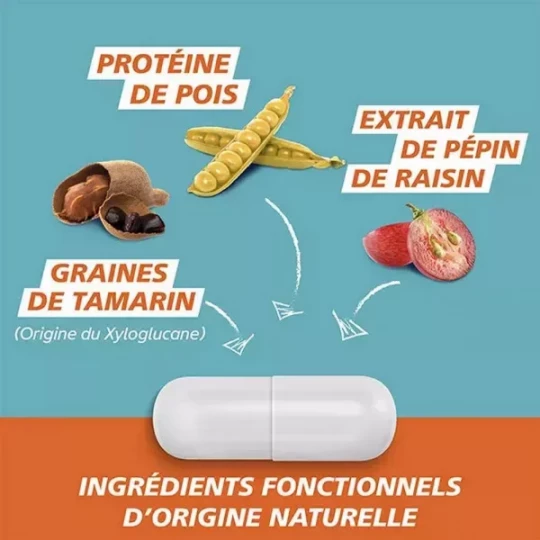 GaviDigest Diarrhée Gélules - image 2