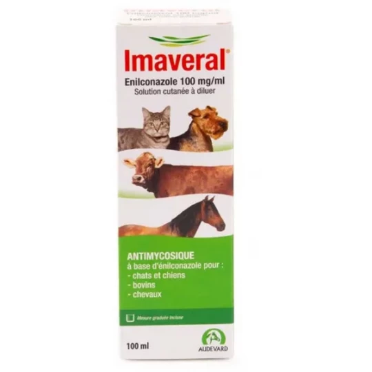 Imaveral Solution Cutanée à Diluer Antimycosique 100 ml