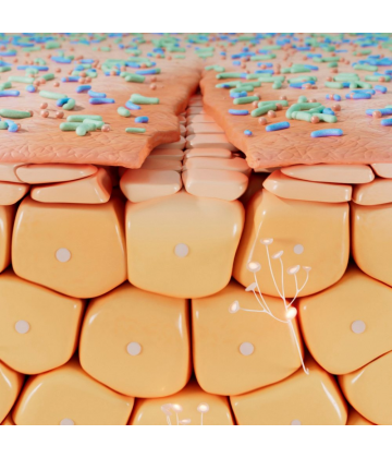 Bioderma Cicabio Crème+