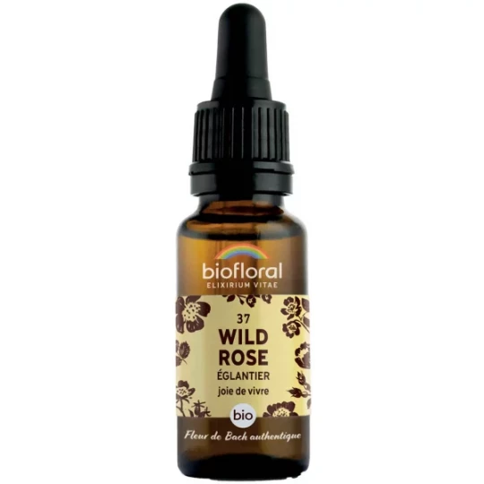 Biofloral Fleurs de Bach 37 Wild Rose Bio 20 ml