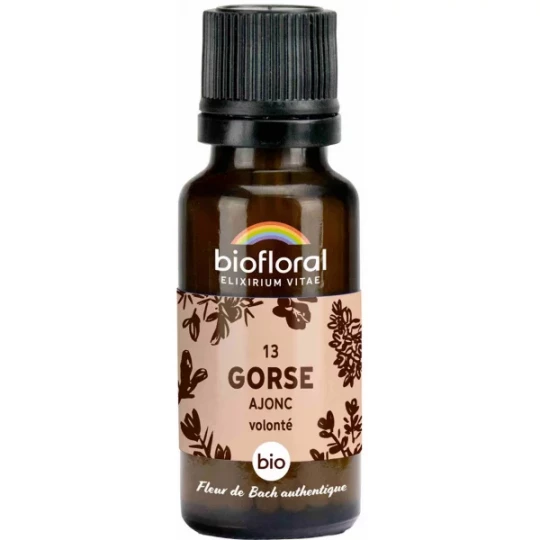 Biofloral Granules 13 Gorse - Ajonc Bio 19,5 g