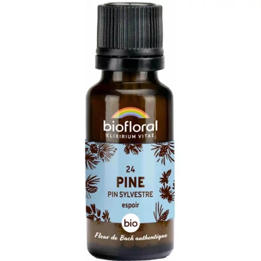 Biofloral Granules 24 Pine - Pin Sylvestre Bio 19,5 g