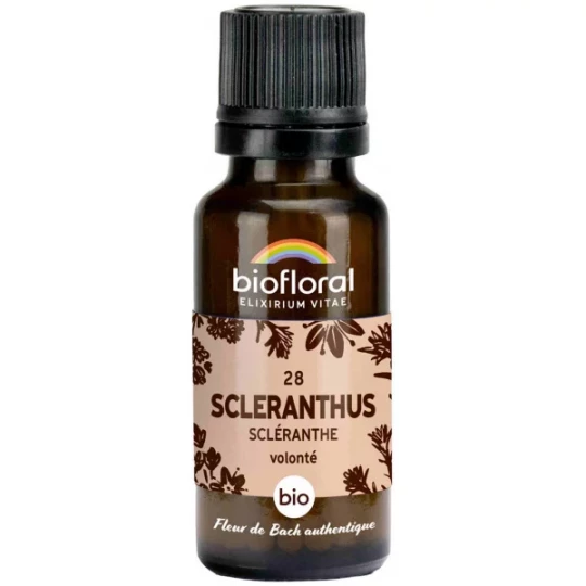 Biofloral Granules 28 Scleranthus - Scléranthe Bio 19,5 g