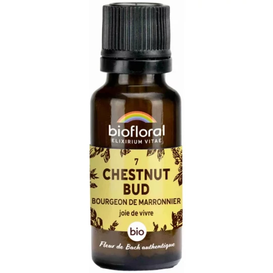 Biofloral Granules 7 Chestnut Bud - Bourgeon de Marronnier Bio 19,5 g