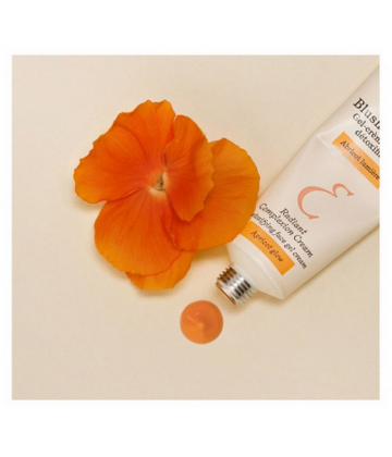 Embryolisse Secret de Maquilleurs Soin Blush de Peau Détoxifiant