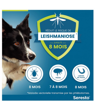 Seresto Collier Grands Chiens (+ de 8 kilos)