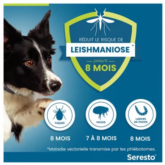 Seresto Collier Grands Chiens (+ de 8 kilos) - image 4