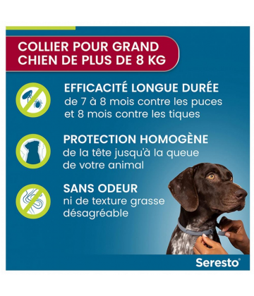 Seresto Collier Grands Chiens (+ de 8 kilos)