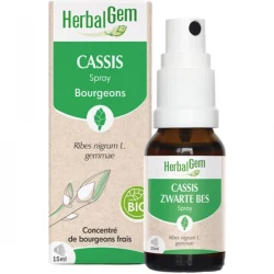 HerbalGem Cassis Spray Bio 15 ml
