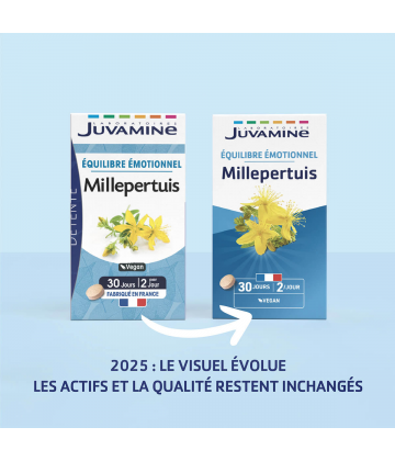 Juvamine Millepertuis Comprimés x 60