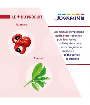 Juvamine Thé Vert Guarana Gélules x 120