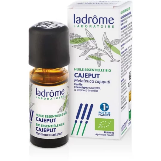 Ladrôme Huile Essentielle Cajeput (Melaleuca cajuputi) Bio 10 ml