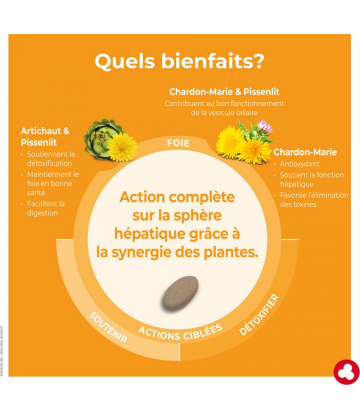 Ortis Foie DépurFoie Comprimés x 60