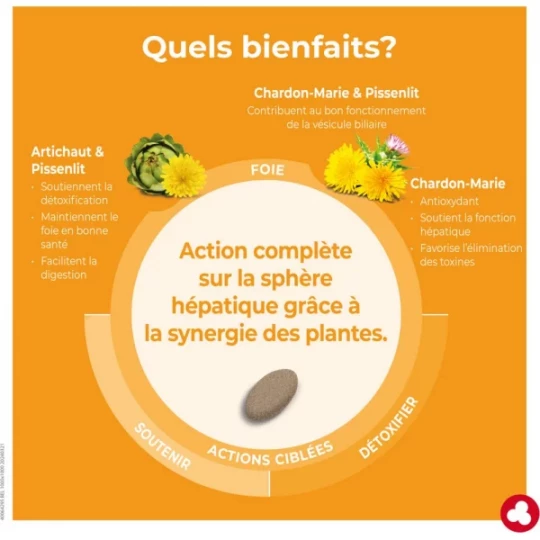 Ortis Foie DépurFoie Comprimés x 60 - image 2