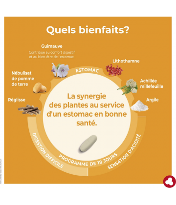 Ortis Minacia Regular Estomac Comprimés x 36 - image 6