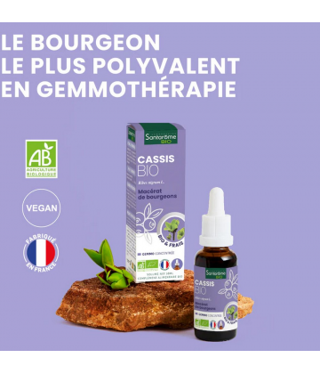 Santarome Bio Cassis 30 ml