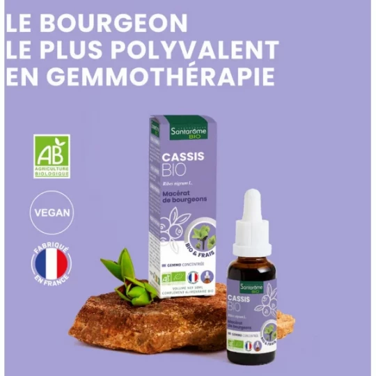 Santarome Bio Cassis 30 ml - image 2