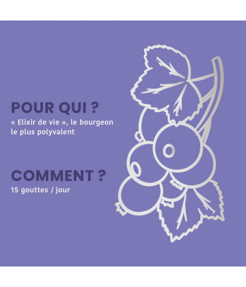 Santarome Bio Cassis 30 ml